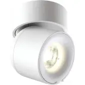 Спот Over 358808