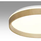 Припотолочная люстра Basica 7684/DL