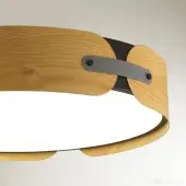 Припотолочная люстра Coraggio 7721/120L