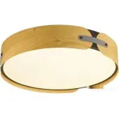 Припотолочная люстра Coraggio 7721/120L