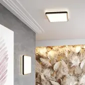 Светильник-тарелка Effa 7621/DL