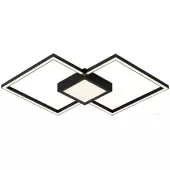 Припотолочная люстра Линд 07612-2.19 (черный)