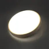 Светильник-тарелка Losta 7607/DL