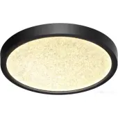 Светильник-тарелка Omega Black 7662/18L