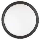 Тарелка Shiny 3049/DL