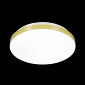 Тарелка Smalli 3066/CL