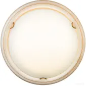 Припотолочная люстра Snok 7605/BL