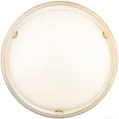 Припотолочная люстра Snok 7605/DL