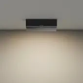 Спот Basis Rot C133CL-12W3K-B