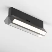 Спот Basis Rot C133CL-12W4K-B