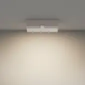 Спот Basis Rot C133CL-12W4K-W