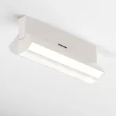 Спот Basis Rot C133CL-12W4K-W