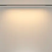 Трековый светильник Basis TR173-1-24WTW-B