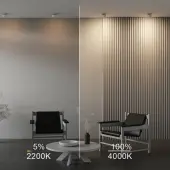 Спот Onda DL024-12W-DTW-W