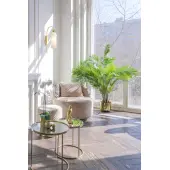 Бра Antic MOD302WL-01W