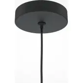  Pro Focus MOD161PL-01B1