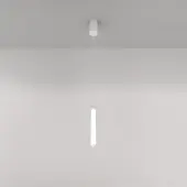 Подвесная люстра Ray P022PL-L10W