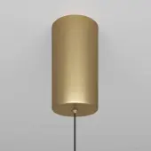 Подвесная люстра Ray P022PL-L20G3K