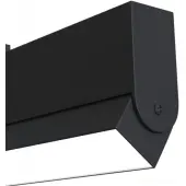 Спот TR013-2-20W4K-B