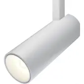 Точечный светильник TR019-2-10W3K-W