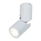 Спот Tube C019CW-01W